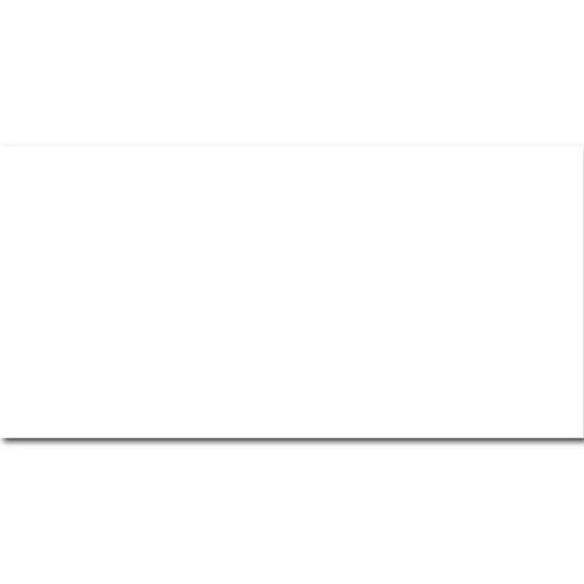 KER.PLOČ SUPER WHITE 60X120  1.KL RETT   2,16 M2/PAK